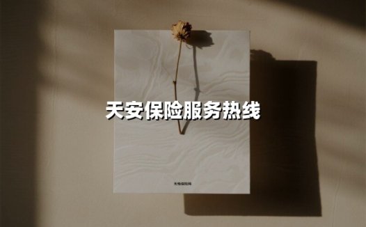 天安保险服务热线:您的24小时保险管家,一键直达专业服务