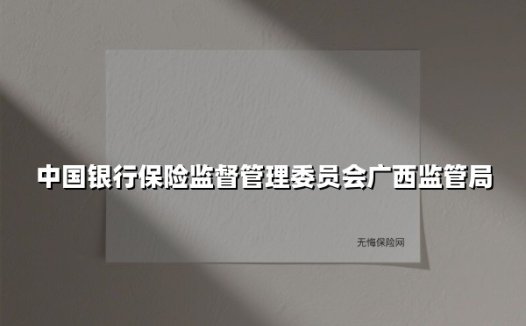 数智监管创未来 科技赋能谱新篇 ——广西银保监局以创新驱动行业高质量发展