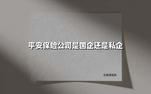 平安保险的国企与私企属性之辨：穿透股权的迷雾