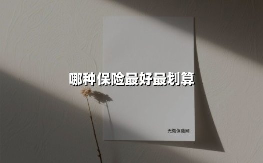 2025年高性价比保险选购指南：停售在即，这些产品别错过！