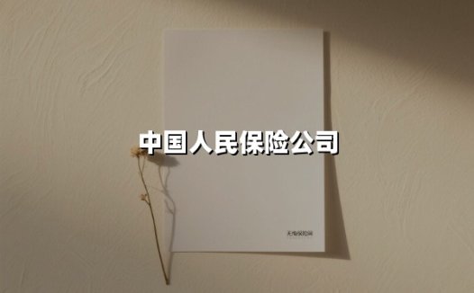 中国人民保险公司：红色基因铸就行业标杆，数字化转型再掀新篇章