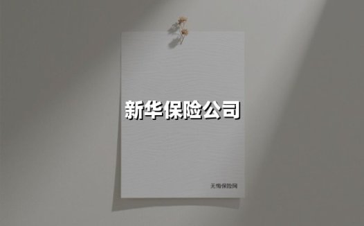 新华保险公司：手握万亿资本布局，解码国民健康背后的金融力量