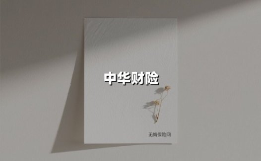 中华财险：39年国字头险企的韧性成长与民生守护之路