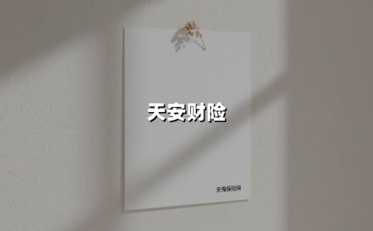 天安财险三十年浮沉录：从民营标杆到风险处置样本