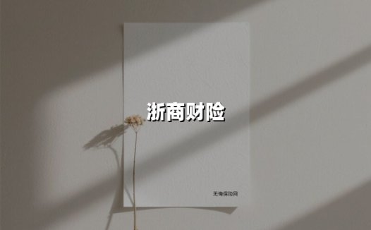 浙商财险增资至50亿背后：浙江本土金融力量的突围与挑战