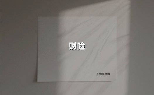 财险市场现分化加速：老牌龙头的攻守道与中小险企的生死劫