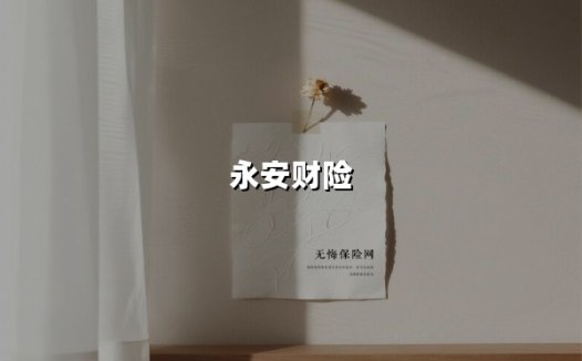 永安财险迎七年首任总经理背后：5000万合同纠纷定音与全国版图扩张