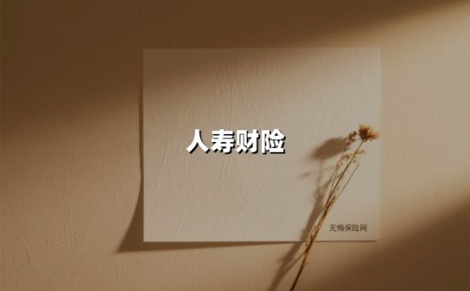 突围与坚守：人寿财险在车险红海市场中的新篇章