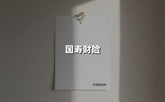 国寿财险：以央企担当织密风险防护网，数字化服务再升级