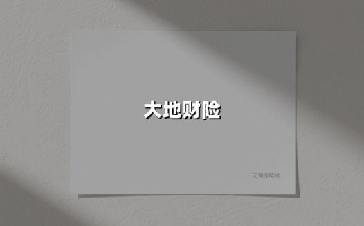 大地财险卷入600万罚单背后：二十年老牌险企的破局之路