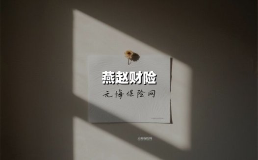 燕赵财险：深耕民生需求的十年突围与破局之路