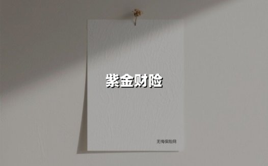 紫金财险撤销监事会背后：一场公司治理与合规能力的双重突围