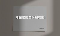年金险的意义和功能(2025最新权威解答)