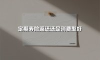 定期寿险返还还是消费型好(2025最新权威解答)