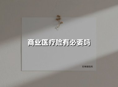 商业医疗险有必要吗(2025最新权威解答)