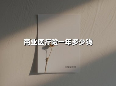 商业医疗险一年多少钱(2025最新权威解答)