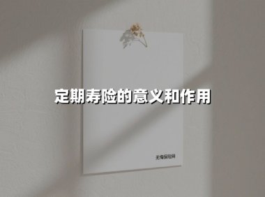 定期寿险的意义和作用(2025最新权威解答)