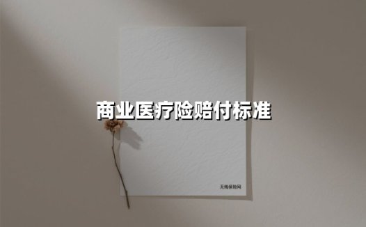 商业医疗险赔付标准(2025最新权威解答)