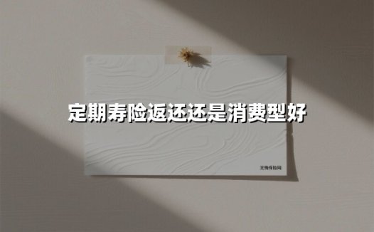 定期寿险返还还是消费型好(2025最新权威解答)