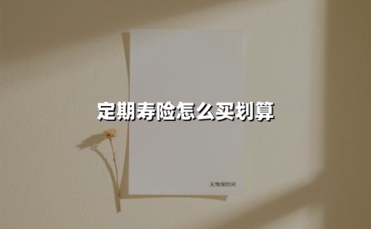 定期寿险怎么买划算(2025最新权威解答)