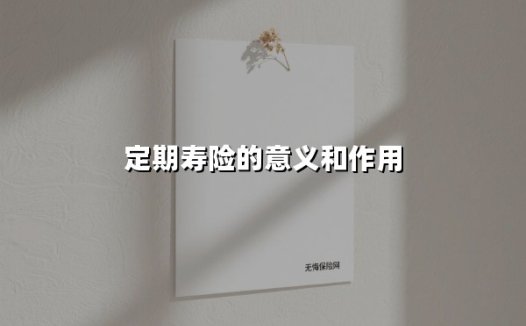 定期寿险的意义和作用（2025最新权威解答）