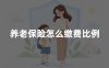 养老保险怎么缴费比例？2026年职工、灵活就业养老保险缴费比例详解