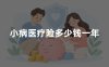 小病医疗险多少钱一年？2026年小额医疗险价格、报销范围及购买指南