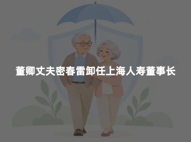 董卿丈夫密春雷卸任上海人寿董事长：11年之后，故事到了转折点