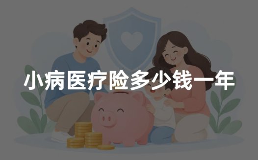 小病医疗险多少钱一年?2026年小额医疗险价格、报销范围及购买指南